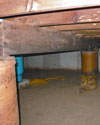 Mold and rot thriving in a dirt floor crawl space in Salt Lake City