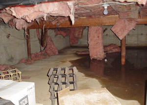 Fiberglass dripping off of the ceilings of a Pocatello crawl space