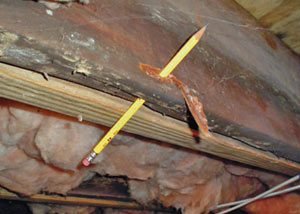 Destroyed crawl space structural wood in Midvale