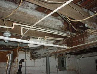 a humid basement overgrown with mold and rot in Riverton
