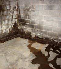 Water seeping through a concrete wall in a Pleasant Grove basement