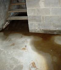 Flooding floor cracks by a hatchway door in Price