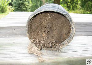 clogged french drain found in Price, Utah, Idaho, and Wyoming